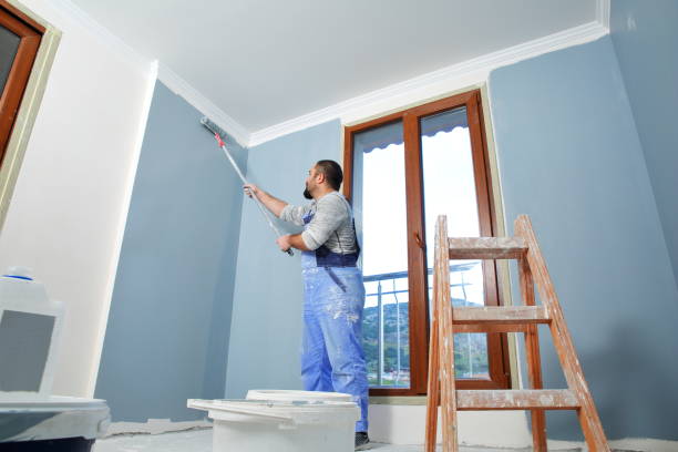 Best Mold Prevention Services  in Wailua Homesteads, HI