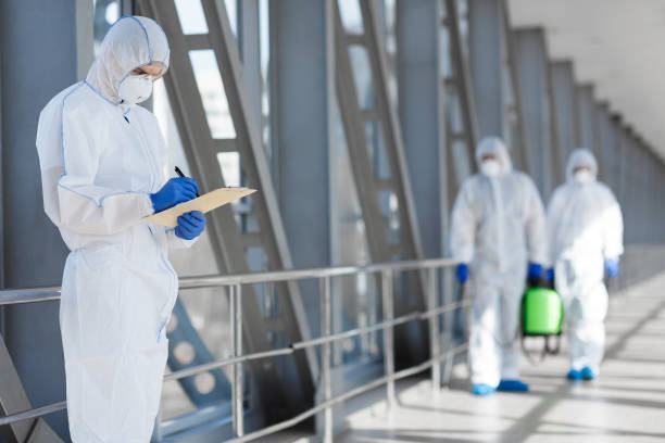 Best Industrial Mold Remediation  in Wailua Homesteads, HI