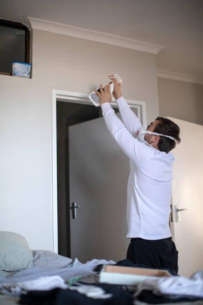 Best Asbestos and Lead Testing During Mold Inspection  in Wailua Homesteads, HI
