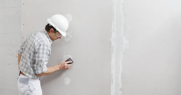 Mold Remediation for Rental Properties in Wailua Homesteads, HI