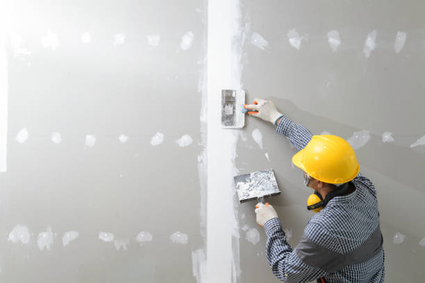 Best Environmental Consulting for Mold Prevention  in Wailua Homesteads, HI