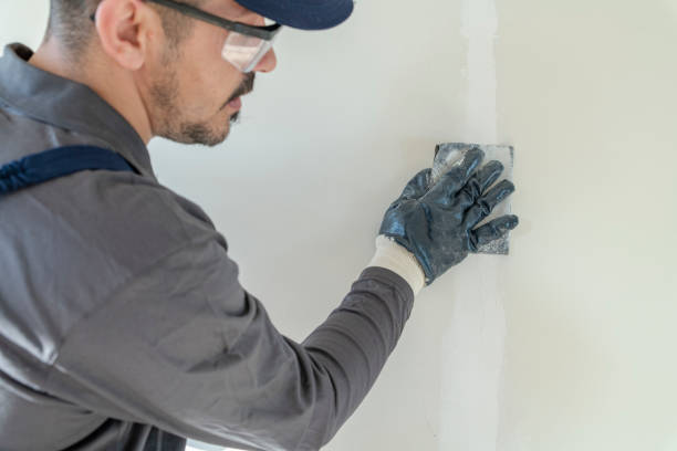 Reliable Wailua Homesteads, HI Mold Removal Solutions