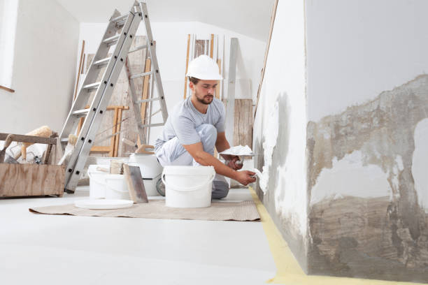 Best Black Mold Removal  in Wailua Homesteads, HI