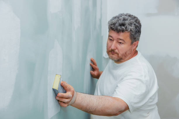Best Emergency Mold Remediation  in Wailua Homesteads, HI