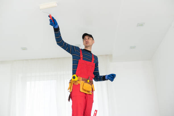 Best Airborne Mold Testing  in Wailua Homesteads, HI