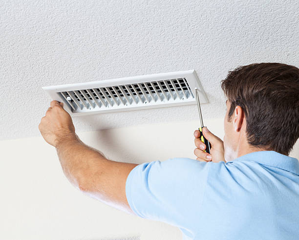 Best Crawl Space Mold Remediation  in Wailua Homesteads, HI