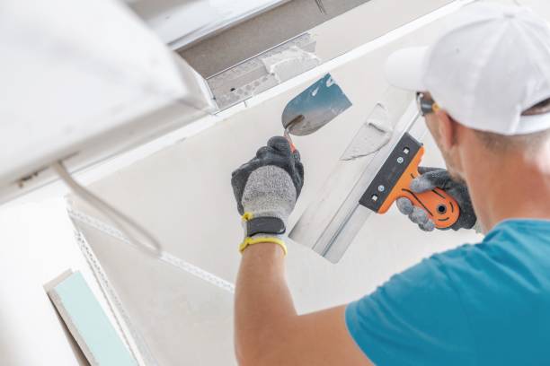 Best Forensic Mold Investigation  in Wailua Homesteads, HI